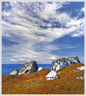 Фотографии природы Белого моря и Алтая в фотобанке "Текарт"