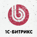 image-100_s.jpg